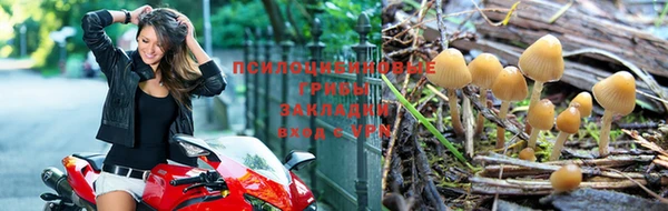 амф Абинск