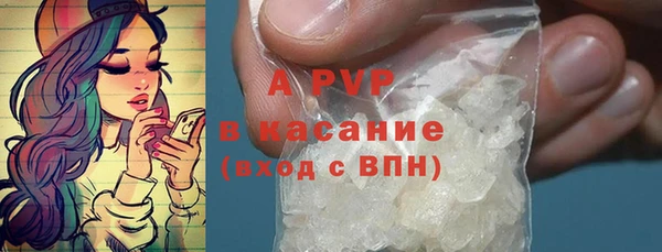 винт Абаза